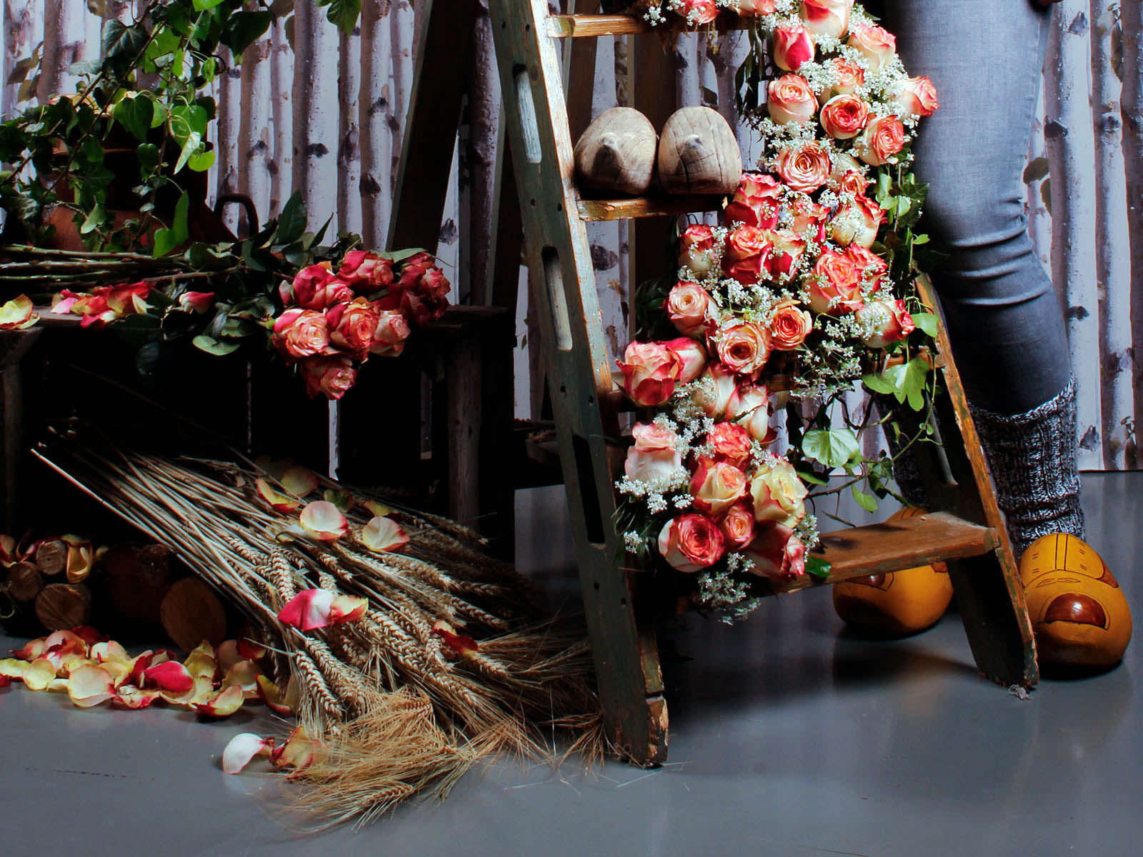 why-rose-attraction-makes-me-think-of-farm-life-featured