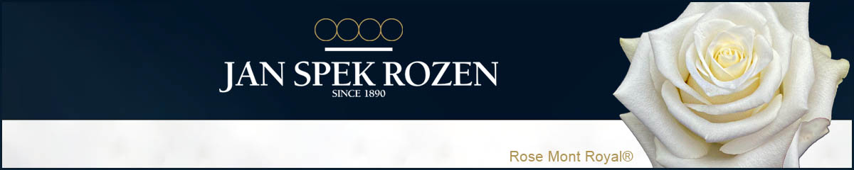 Banner Jan Spek Rozen Mont Royal
