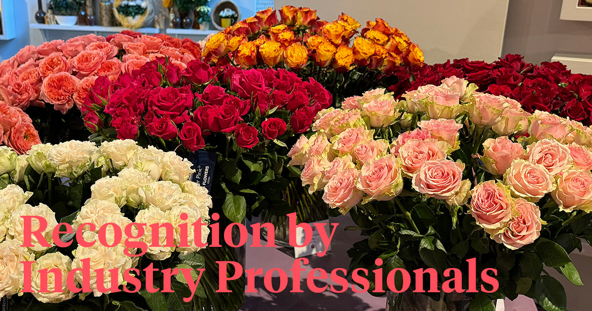 De Ruiter Keukenhof Rose Show header on Thursd