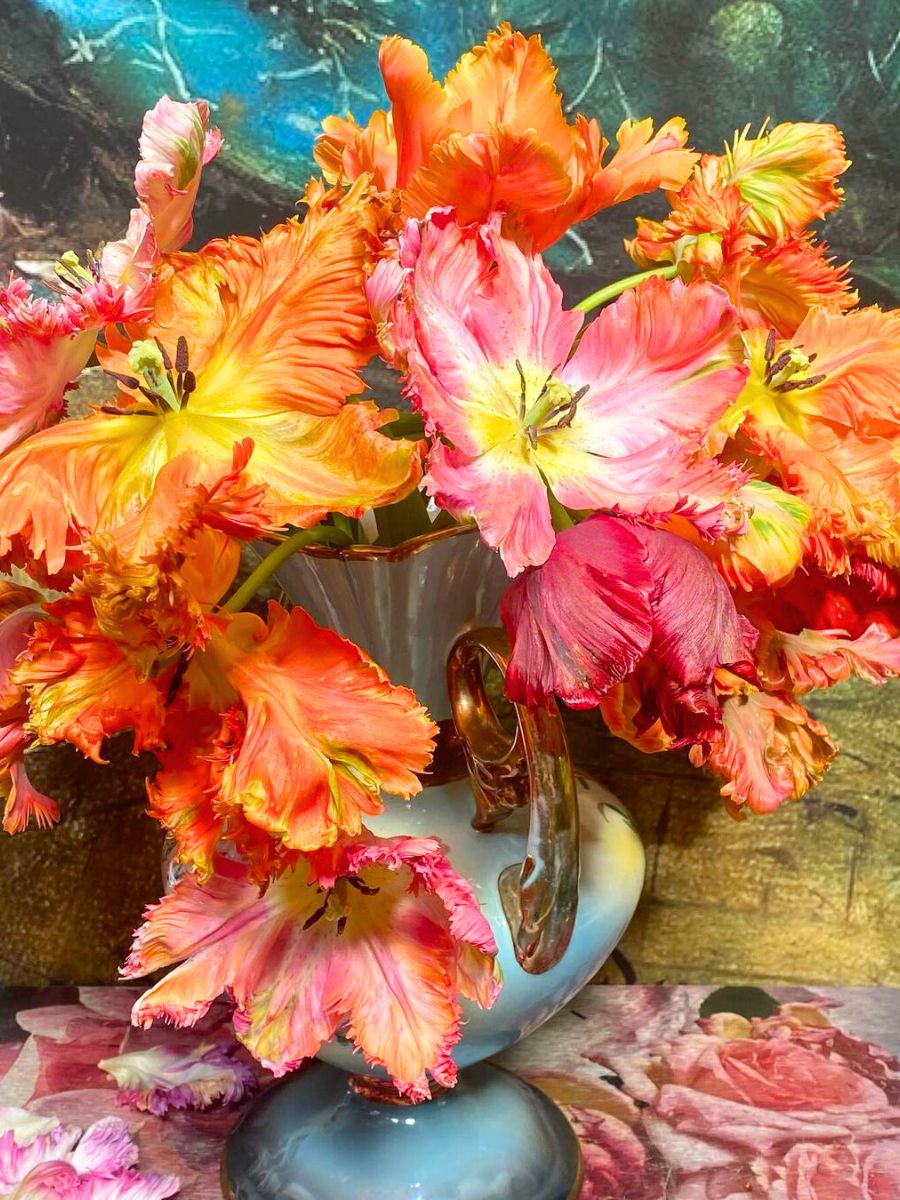 Flourished parrot tulips in a vase
