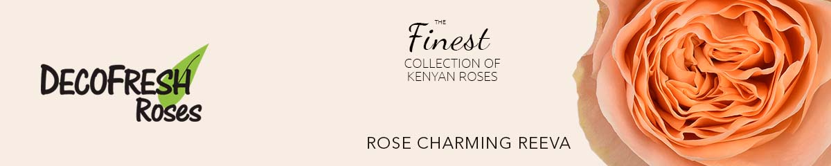 anner-DecoFresh Rose Charming Reeva
