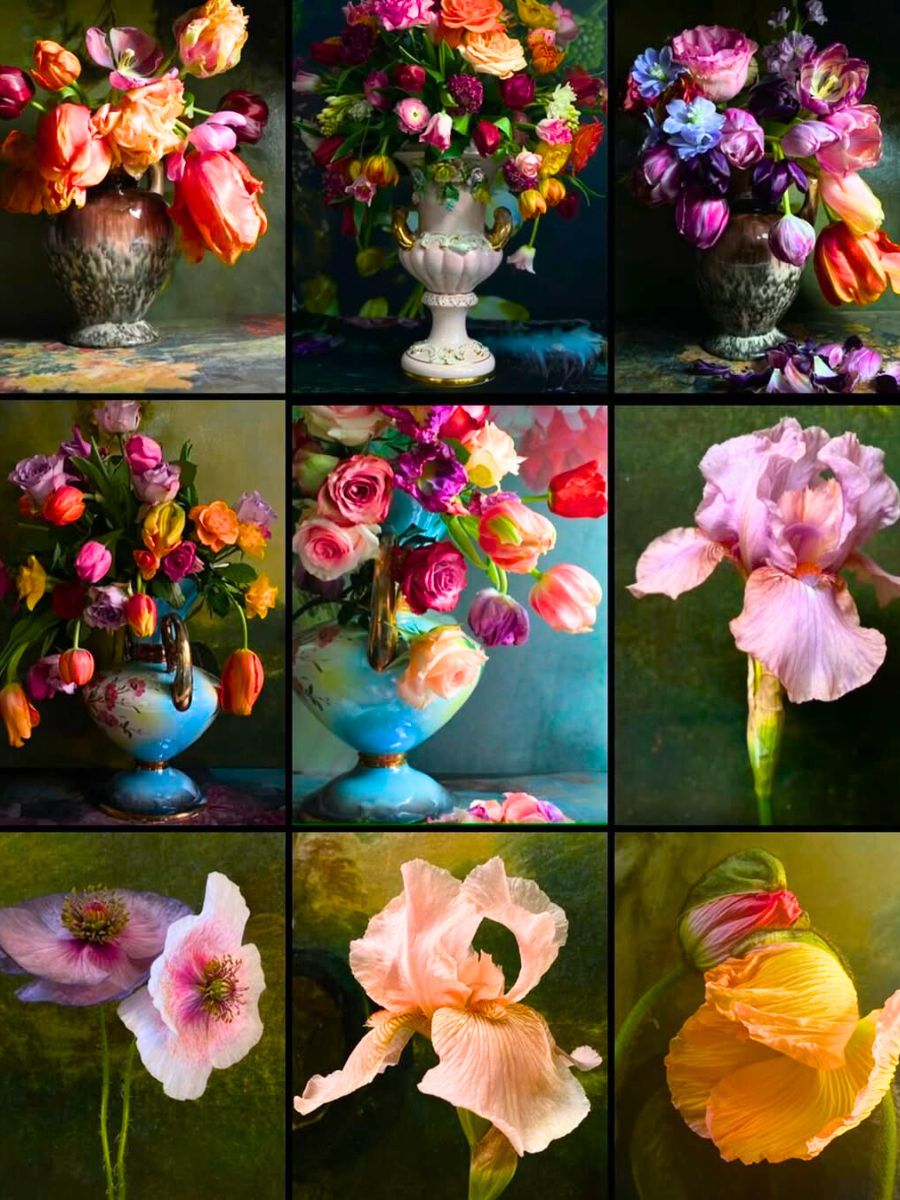 Different photographs of flowers by Manon Different photographs of flowers by Manon