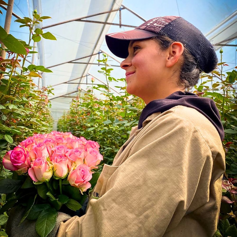 Roses Why Integrated Pest Management Is Vital in Sustainable Pest Control in Floriculture