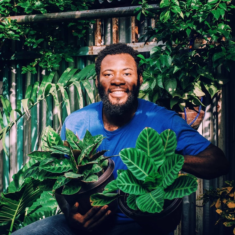a man wearing blue t shirt holding two pots of zebra plants a man wearing blue t shirt holding two pots of zebra plants