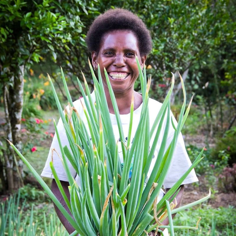 The International Day of Plant Health recognizes the vital importance of plants in supporting life on earth.