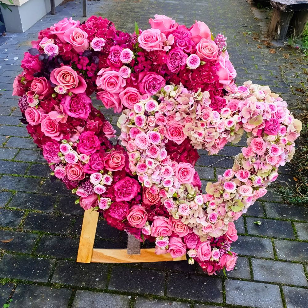 World of Spray Roses